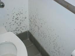 Bathroom moisture problems